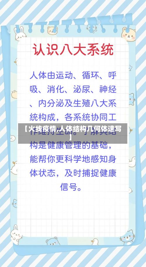 【火线疫情,人体结构几何体速写】