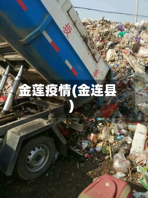 金莲疫情(金连县)-第2张图片