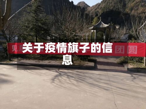 关于疫情旗子的信息
