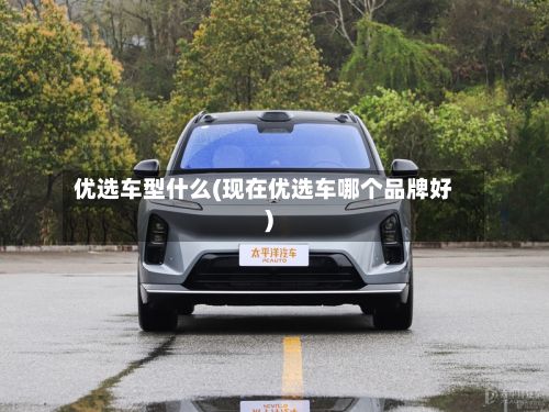优选车型什么(现在优选车哪个品牌好)-第2张图片