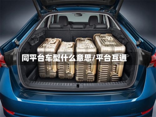 同平台车型什么意思/平台互通