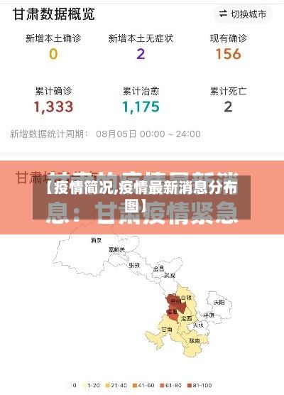 【疫情简况,疫情最新消息分布图】-第2张图片