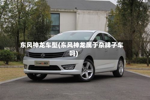 东风神龙车型(东风神龙属于杂牌子车吗)-第2张图片