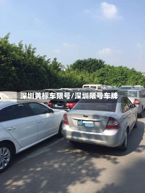深圳黄标车限号/深圳限号车牌-第2张图片