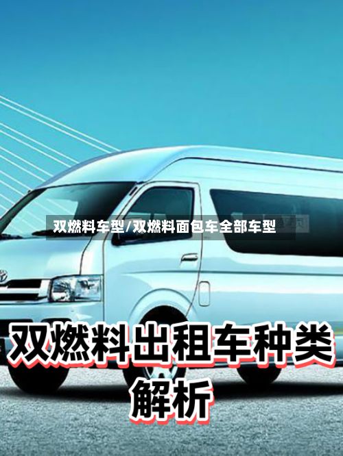 双燃料车型/双燃料面包车全部车型-第2张图片