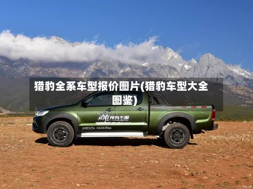 猎豹全系车型报价图片(猎豹车型大全图鉴)-第3张图片
