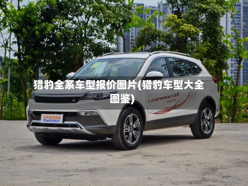 猎豹全系车型报价图片(猎豹车型大全图鉴)-第2张图片