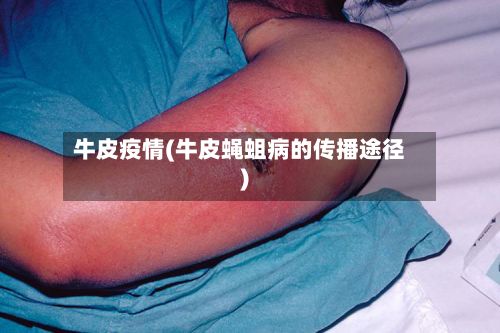 牛皮疫情(牛皮蝇蛆病的传播途径)-第3张图片