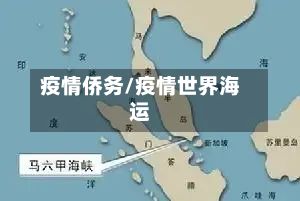 疫情侨务/疫情世界海运-第1张图片