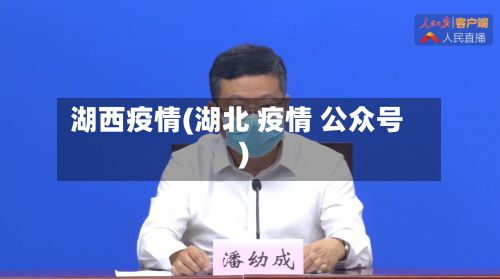 湖西疫情(湖北 疫情 公众号)-第3张图片