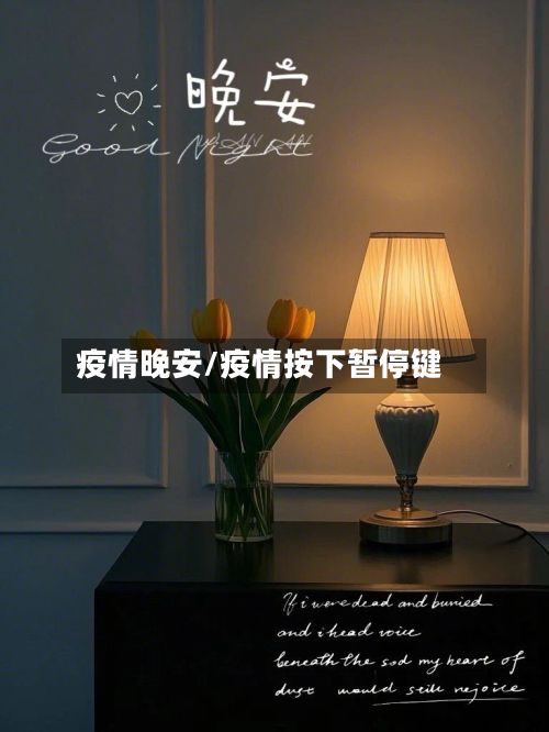 疫情晚安/疫情按下暂停键-第2张图片