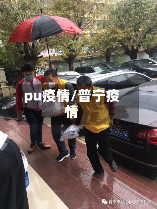 pu疫情/普宁疫情-第2张图片