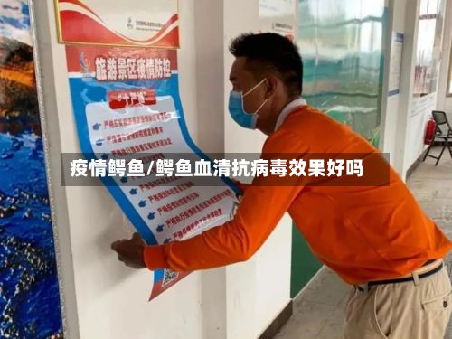 疫情鳄鱼/鳄鱼血清抗病毒效果好吗