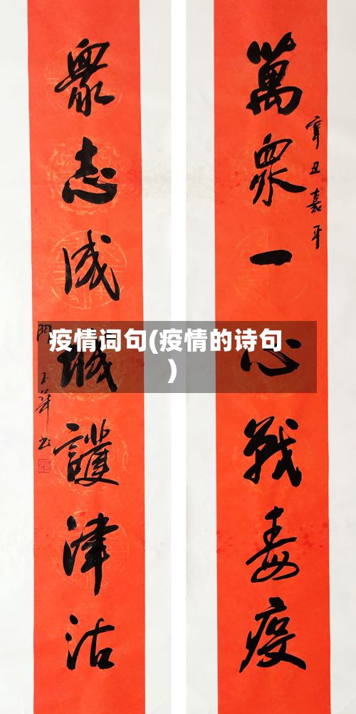 疫情词句(疫情的诗句)