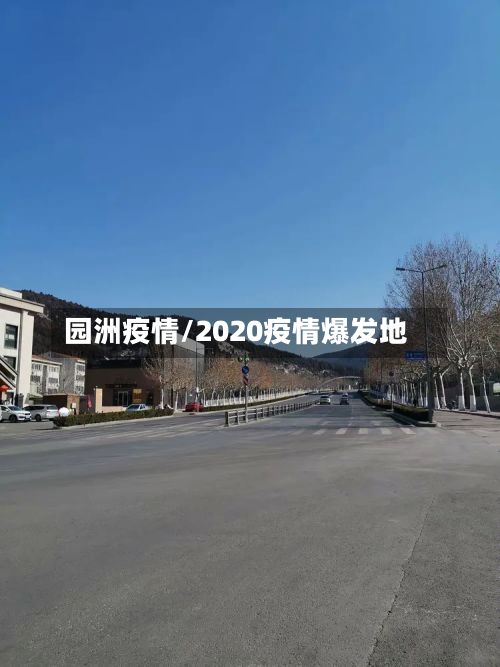 园洲疫情/2020疫情爆发地