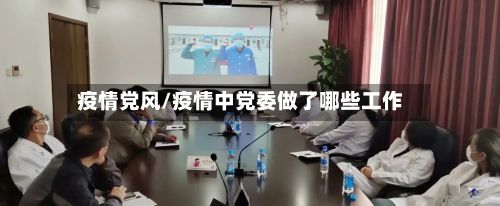 疫情党风/疫情中党委做了哪些工作