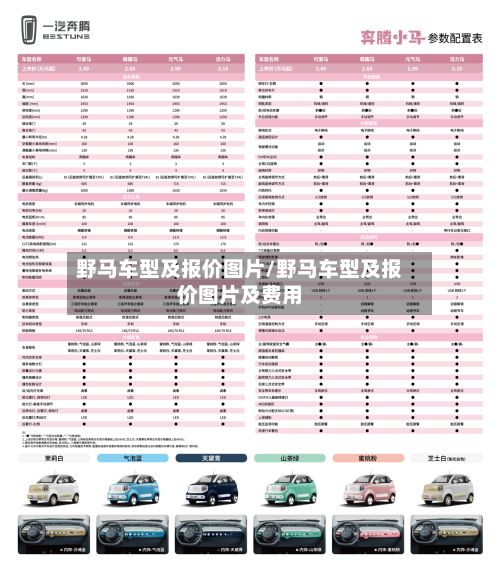 野马车型及报价图片/野马车型及报价图片及费用-第2张图片