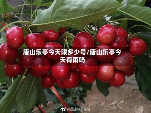 唐山乐亭今天限多少号/唐山乐亭今天有雨吗