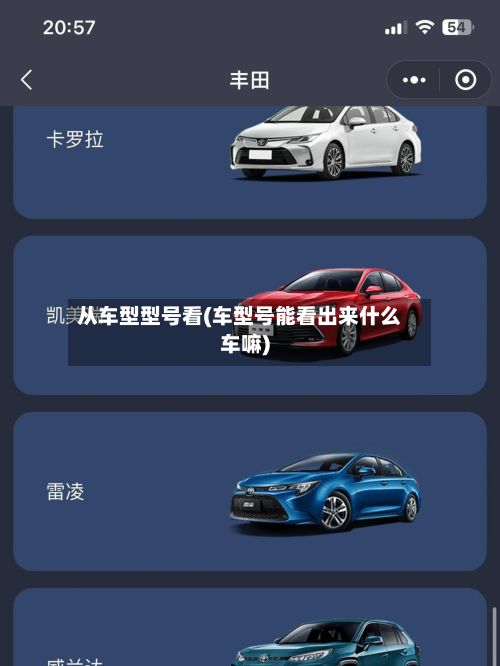 从车型型号看(车型号能看出来什么车嘛)