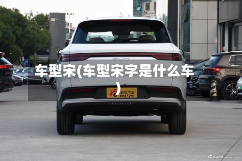 车型宋(车型宋字是什么车)