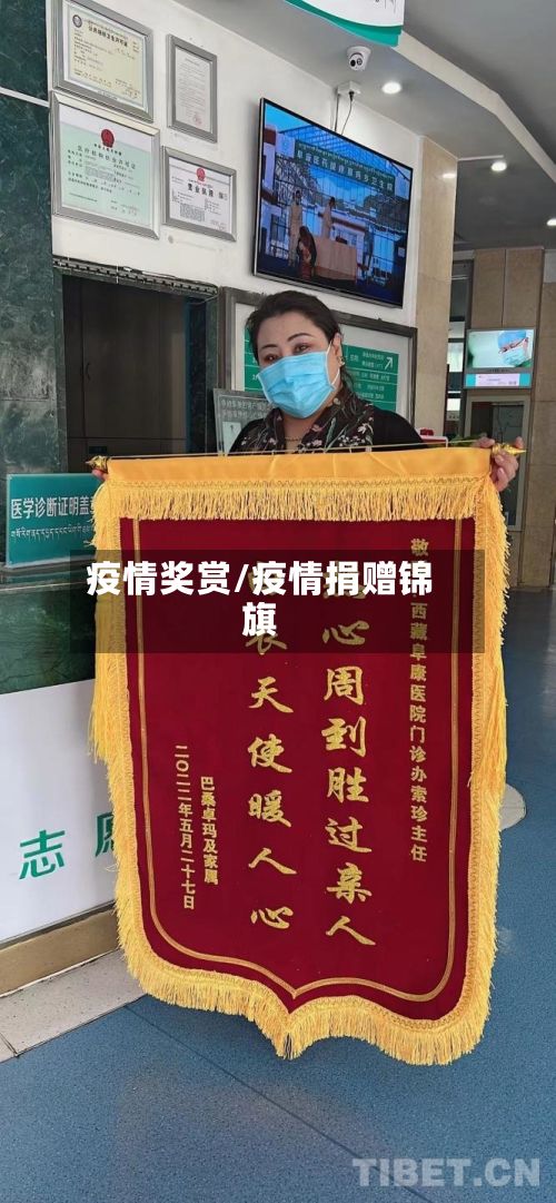 疫情奖赏/疫情捐赠锦旗-第3张图片