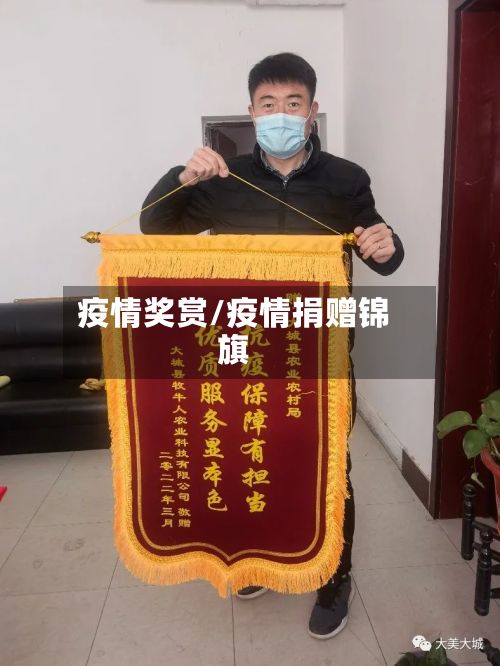 疫情奖赏/疫情捐赠锦旗-第2张图片
