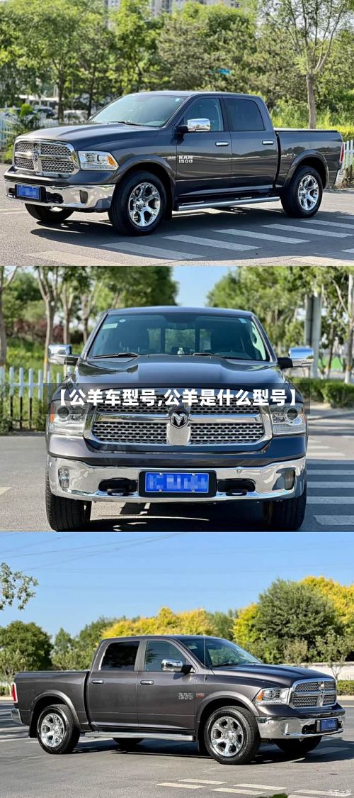 【公羊车型号,公羊是什么型号】