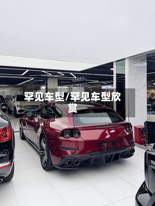罕见车型/罕见车型欣赏