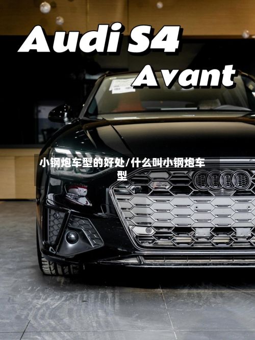 小钢炮车型的好处/什么叫小钢炮车型-第2张图片