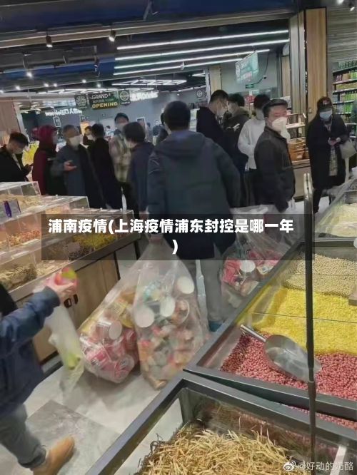 浦南疫情(上海疫情浦东封控是哪一年)-第2张图片