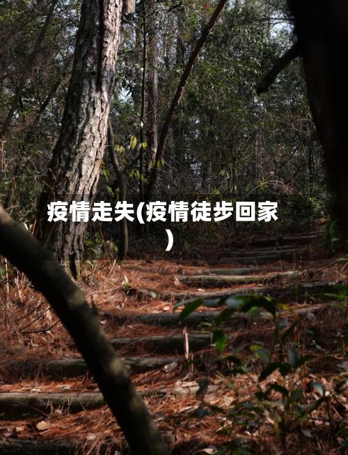 疫情走失(疫情徒步回家)