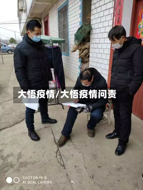 大悟疫情/大悟疫情问责