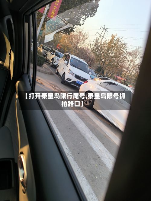 【打开秦皇岛限行尾号,秦皇岛限号抓拍路口】-第1张图片
